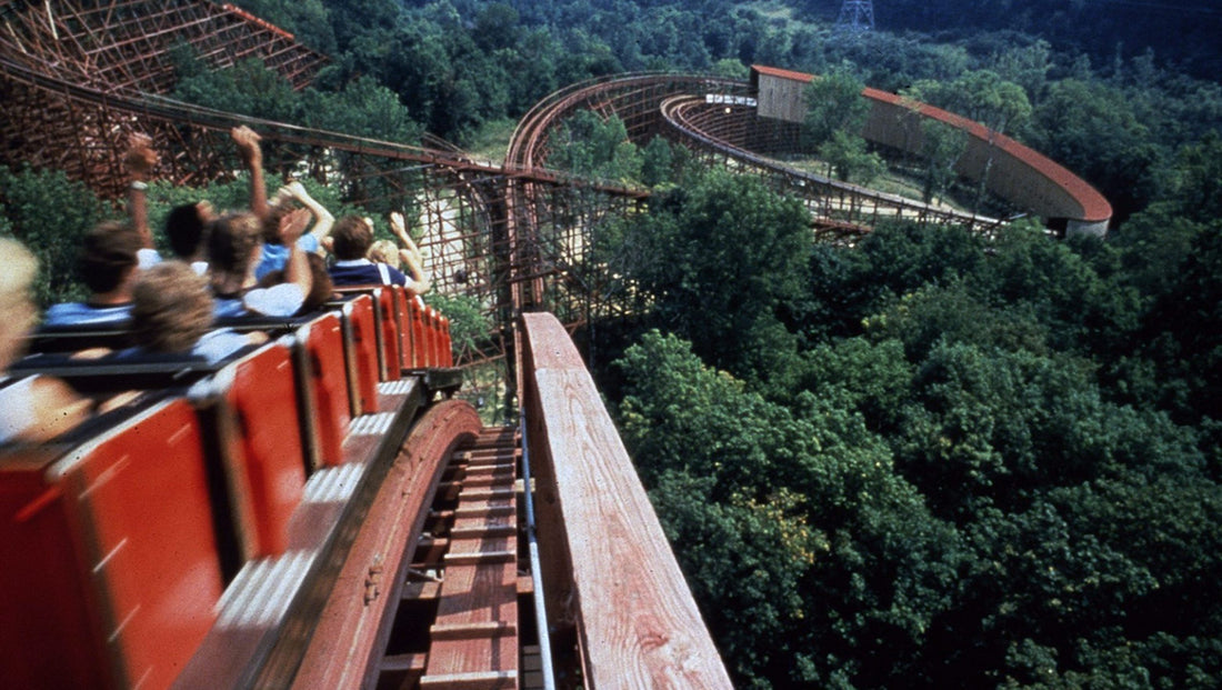 Roller-coaster's 'weird sensations' perceived differently with age